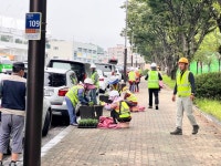 영주시, 메리골드로 도심을 물들이다