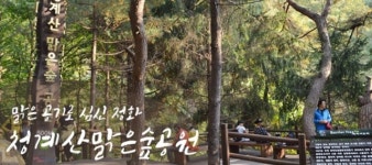 경기도 속 다양한 여행지, 짧은 여정에서의 만족