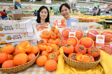 [포토]하나로마트, 가을 맛 ‘청도 반시’ 출시