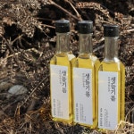 [생생 귀농 인터뷰] 돌밭에서 1만 평을 일군 청년농부