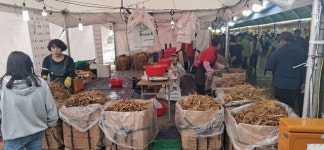 영주.풍기인삼과 영주 농특산물, 축제로 빛나다