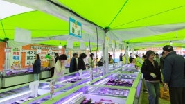 합천군, 제3회 합천황토한우축제 성료