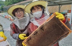 세종시-가축위생방역지원본부,‘도시양봉 활성화 위한’협무 협약