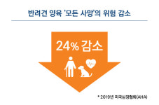 [비바 2080] 노년에는 ‘약’보다 ‘반려동물’이 치료와 정신건강에 더 효과적일 수 있어요