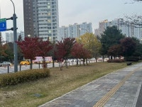 726억 날리고 1534억 벌었다…인창개발 ‘기막힌 재낙찰‘ 논란