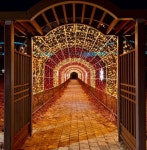 세종합강캠핑장, 겨울밤을 밝히는 빛의 산책길 선보여