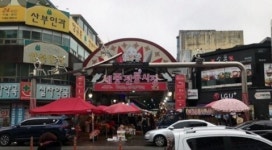 세종시,“설 명절 주차 걱정 없이 전통시장 이용하세요”