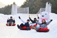 남이섬 설 연휴, 전통과 현대가 어우러진 특별한 즐거움