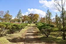 충주임업 장경수 | 충주시 시민참여의 숲, 지역의 자랑으로 첫 발걸음