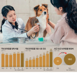 [비바100] 멍냥이도 ‘유병장수’ 시대… CT·MRI 찍고 비만관리 받는다