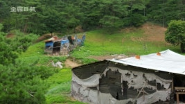 염소떼 방치···수질오염·산림훼손 말썽