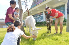 순창민속마을 마스코트 당숙·당심이