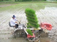 임실 돈버는 농정시책 추진