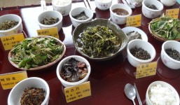 순창 슬로푸드 마을 조성 본격화