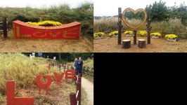 군산 청암산 포토 존에서 가을을 만끽하세요.