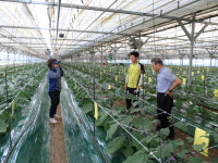 군산시, 농업 특화작목 집중육성