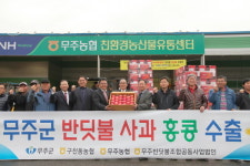 무주반딧불사과 홍콩 10톤 수출