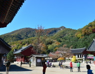 산사의 만추에서 참나를 찾다
