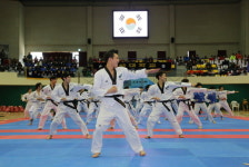 제12회 웰빙태권체조 및 시범페스티벌 성료