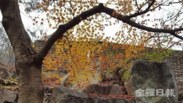 싸목싸목 산성길 오르니 지킴바위 행운 주시네