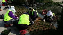 군산시 옥서면, 경로당 주변 꽃 심어