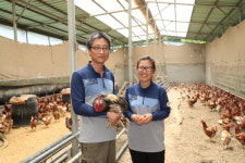 산꼭대기 복지농장··· 비상한 닭이 산다