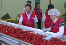 심민 임실군수, 임실홍고추 수매현장 방문