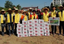 익산 송학동 꼬마농부들 경로당에 수확 고구마 전달