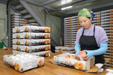 민관 합작 오수황도··· 임실의 보배요