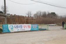 다양한 묘목을 저렴하게 구입할 수 있는 익산산림조합 나무시장 개장