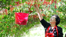 장수군 여성농업인 생생카드 오는 31일까지 신청 가능