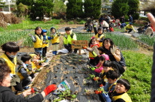 어린이 새싹농부, 전주푸드 텃밭 일군다