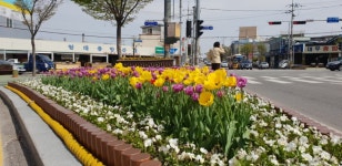 익산시, 봄꽃 향기 가득, 즐거움과 행복 선사하는 익산 만들기 박차