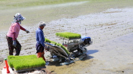 장수군, 영농철 당면영농 현장지도 박차