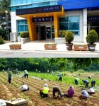 군산시 나운2동 VS 나운3동 주민 구슬 땀 2제