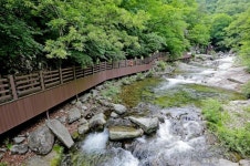 원시림 속 신비로운 용소 심쿵