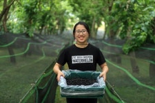 농장 브랜드 키워 바른 먹거리 선도자 될 것