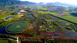 멸종위기 가시연 서식 저수지에 태양광발전소 건립 추진