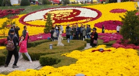 임실치즈테마파크, 국화꽃 인기에 '제2의 축제' 방불