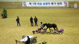 장수 승마장, 제1회 외승 승용마 평가대회 열려