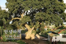 군산서 미군부대 옆 마을의 변화 안녕하제展