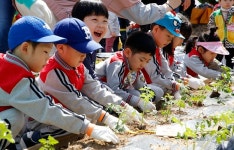 수확의 기쁨 전주 6개 어린이집 텃밭 가꾼다