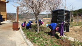 장수 문성마을, 손님맞이 마을 정화활동 실시