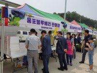 익산 웅포 블루~베리 굿 페스티벌 성황, 지역의 차별화된 행사로 발돋움