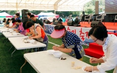 청정임실의 특별함…섬진강 다슬기축제