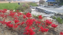 주민 주도 하천·인문학·전설 공존 이야기 창고