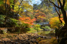 강천산군립공원 추석 연휴기간 무료 입장 운영