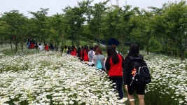 부안 변산면, 쓰레기 무단투기 상습지역 꽃단지 조성
