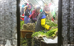 전라일보인쇄(주) | 전라일보 '포토 스토리'를 연재 시작
