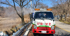 장수군, 산림문화자원 보호수 정비사업 추진